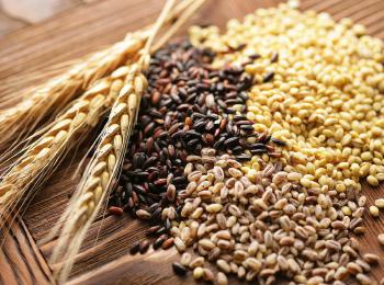 Հացահատիկներ